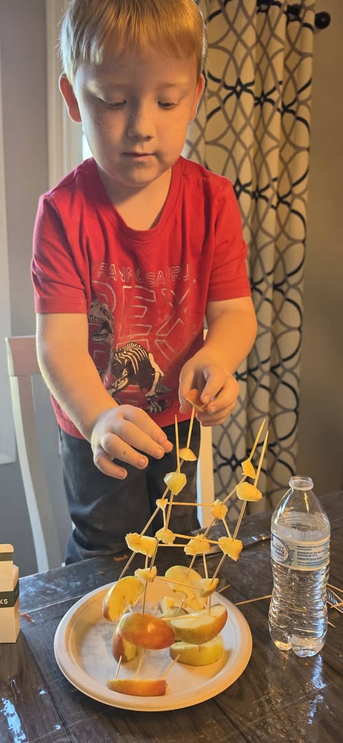 Student building an apple and toothpick structure